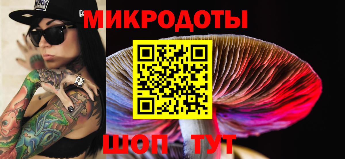 Псилоцибиновые грибы мухоморы Георгиевск